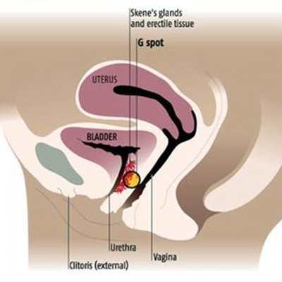 Before exercise sex 6 exercises