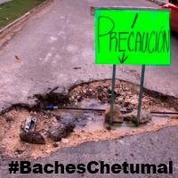 BachesChetumal's profile picture. 