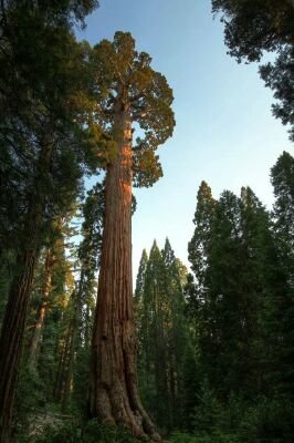 BZingleman's profile picture. 