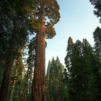 Brian Zingleman (@bzingleman) 's Twitter Profile Photo