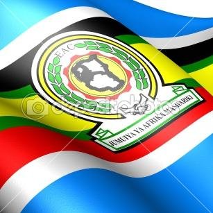 The East African Law Students Association (EALSA) works to contribute to the quality of legal education and to create a network of law students across the EAC