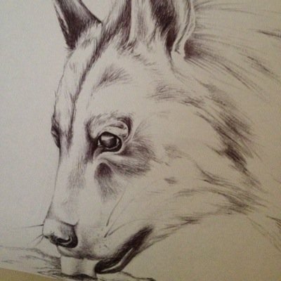 konradsce's profile picture. 