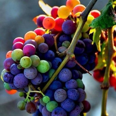 jesuisfatigue1's profile picture. 