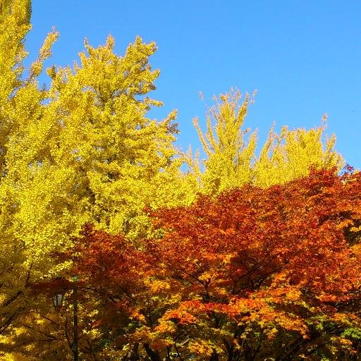 bar83540's profile picture. 