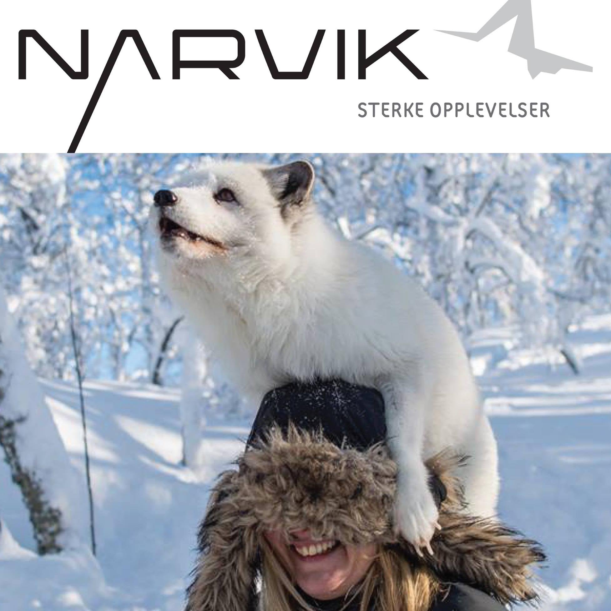 Visit Narvik is the official marketing agency for the Narvik Region. We promote, coordinate and facilitate for all your needs. Welcome to the Narvik region!
