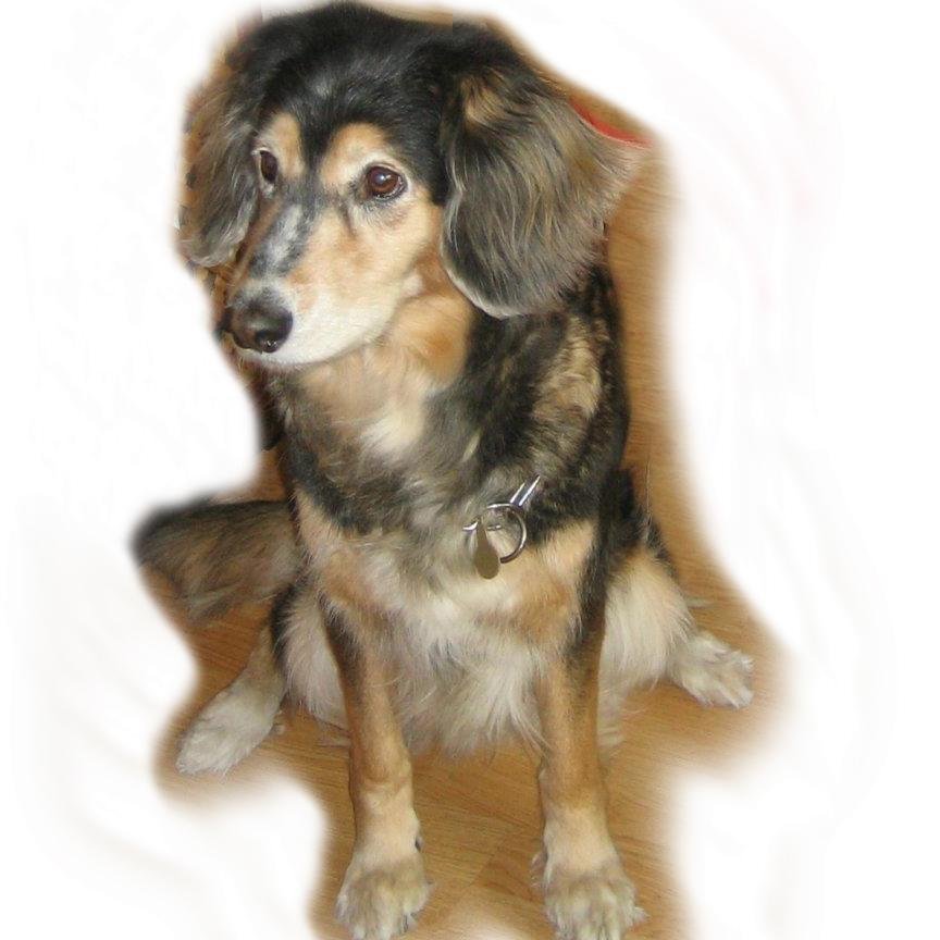 marpgonzalez's profile picture. 