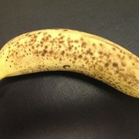 shsct (@shsct) 's Twitter Profile