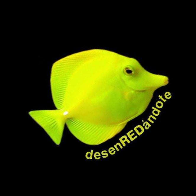 Tu departamento de #marketingdigital y #RRSS. Consultoría y gestión integral. Nos movemos como pez en el agua para que consigas #resultados.