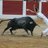 zury_lpd's profile image