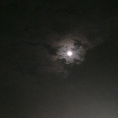 KRKR1red's profile picture. 