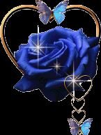 rima123