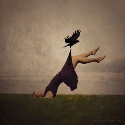 frangaldrich's profile picture. Apprentice dog writer & knowmad. Self taught.Reader of non verbal language. mom, Faithful to infidelity. Green attitude. No answers needed to stupid questions.