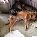 Jeff Doty - @jmdbirdiecat - Twitter