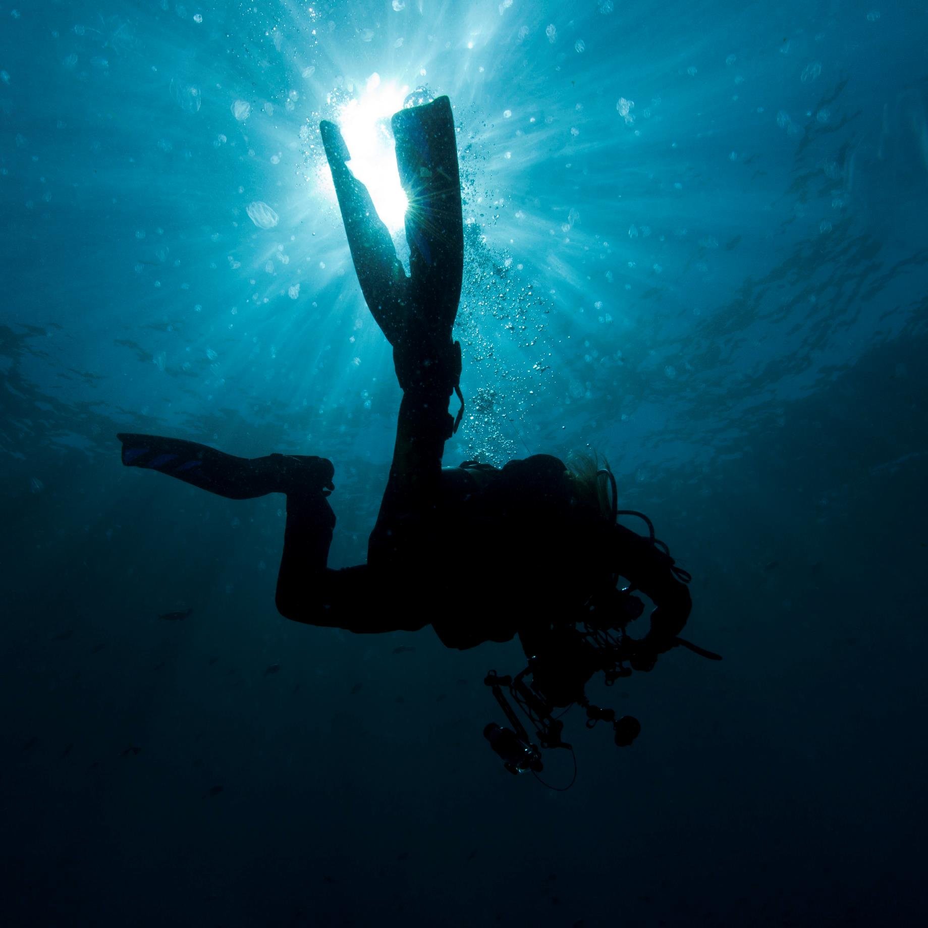 Diver, nature lover, underwater photography lover