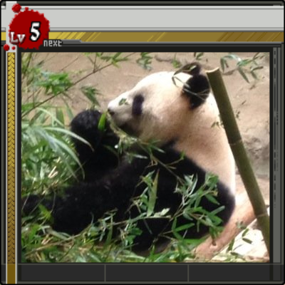 十九
