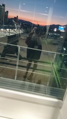ビール大好き