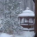 Kelli Dixon - @DixonKelli - Twitter