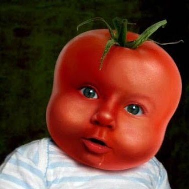all i kno is tht the mitomochondriaa is th powerhose off thee cell !!1! 

wot do i do wit this inorfomatioin??

im an     real tomatto