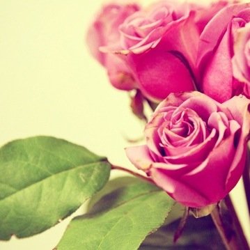 Kieuanh1109's profile picture. 