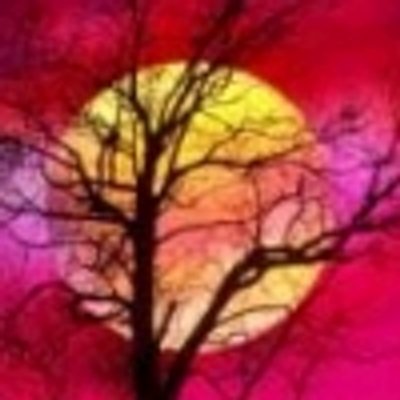 Jarom Cutler (@Gobypoduwabi) / X