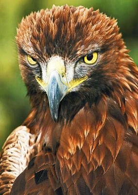 juancarloscr591's profile picture. 