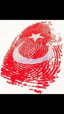 matematikçi.atatürk hayrani.ülkücü.Akpkk düşmanı.takip eden takip edilir