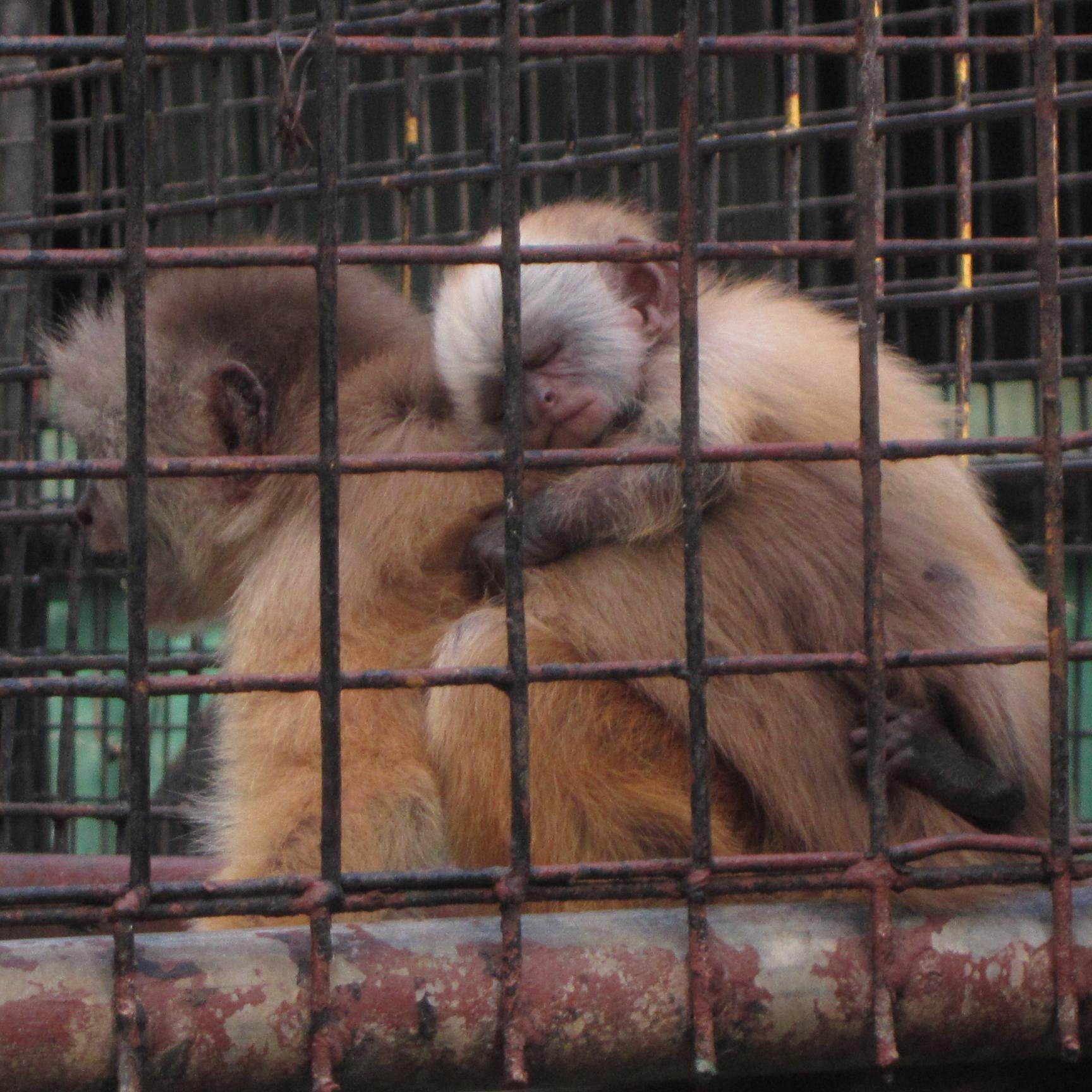 RLCD17's profile picture. 