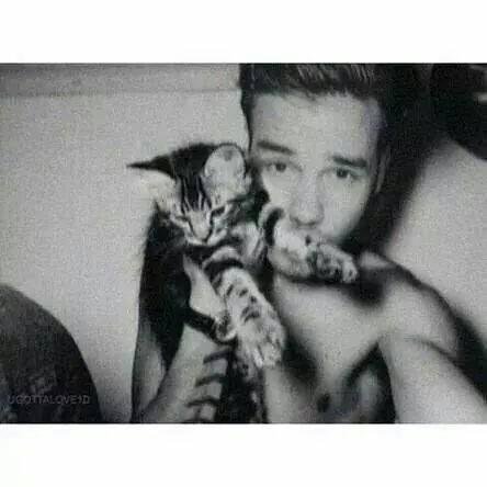 “I may not be the perfect lover in your eyes,but I love you with all I have and then some more.” @Real_Liam_Payne