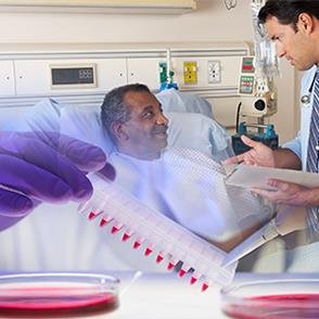 The Division of Translational and Systems Medicine is a collaborative and multi-disciplinary team of basic scientists and clinicians...