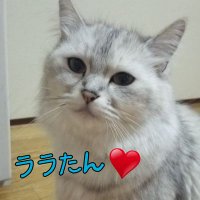 ともか(´,,•ω•,,)♡ (@k5011_tomo) 's Twitter Profile