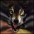 sagoganezem's profile image