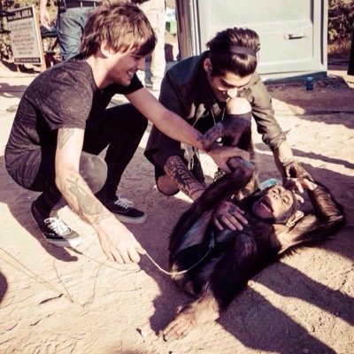 can you go follow @sheerodal please ?