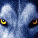 jack volpe - @MedVolpe - Twitter