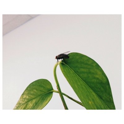 willwdoug's profile picture. 