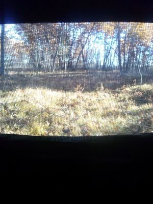 love to hunt, fish, go to upw, and anything outdoors.