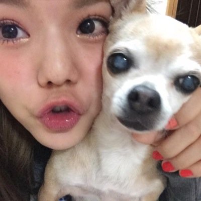 全日本バレエコンクールでは2連続金賞受賞しました( ^ω^ )今年東京大学受りました。19歳です。よろしくお願いします。