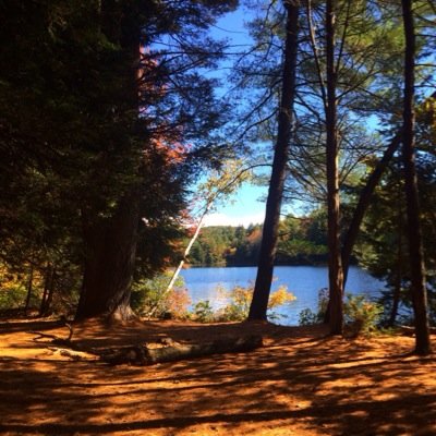 #theTrailLife IG: theTrailLife