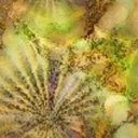 denise norman - @rodeatwork - Twitter