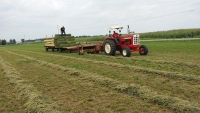 Hi I'm Justin. I am a student at the University of Northwestern Ohio studying Agribusiness. Operate my own hay baling business. I help out on the family farm.