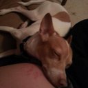 Marissa Armstrong - @ressakay - Twitter