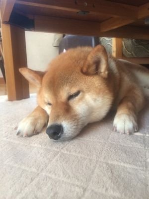 makky94158's profile picture. 