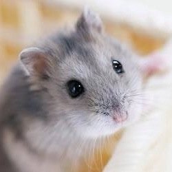 nako_1124's profile picture. 君と僕、銀魂、ハイキュウなど色々知っています。1番好きなのが神様はじめましたです。
ツイッターにあまり慣れていませんがフォローお願いします。