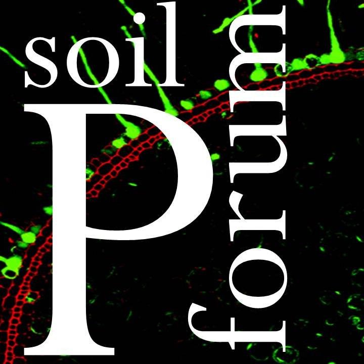 SoilPforum's profile picture. 