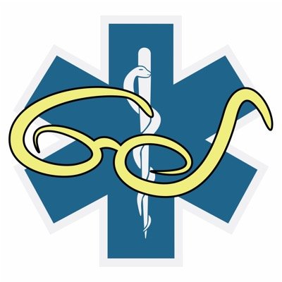 Can Glass and EMS work?