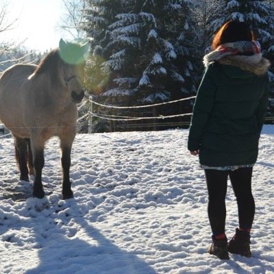 泣かないでと君が歌った歌