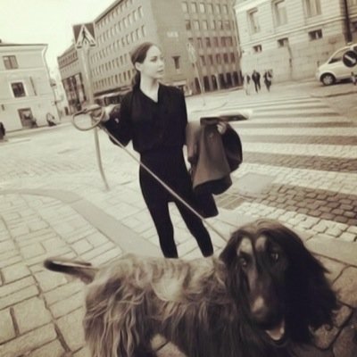 xiaoooyng's profile picture. 