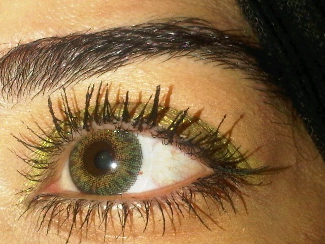 hams_omer's profile picture. 