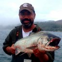 Don Best - @debest - Twitter