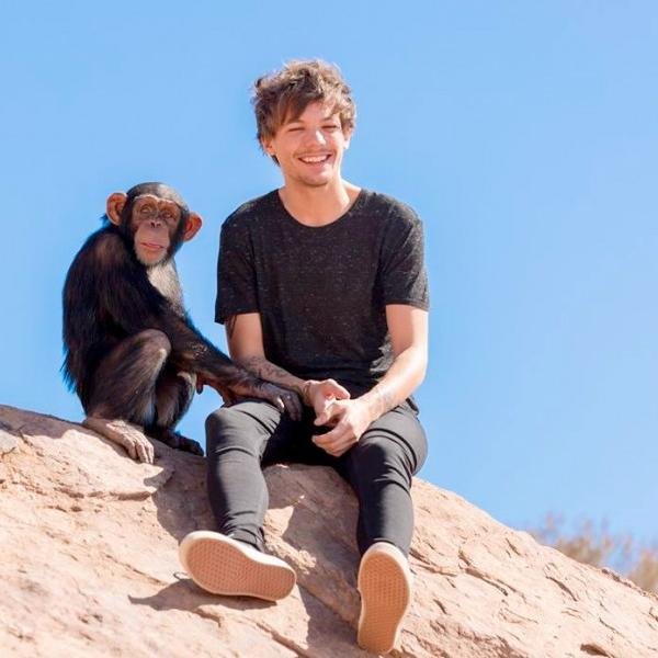ilouischimp Profile Picture
