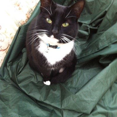 europam3000's profile picture. 